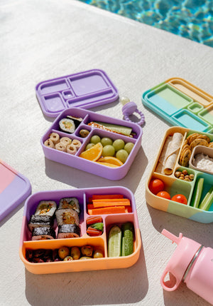 The Zero Waste People | Silicone Bento Lunch Box - Paddle Pop